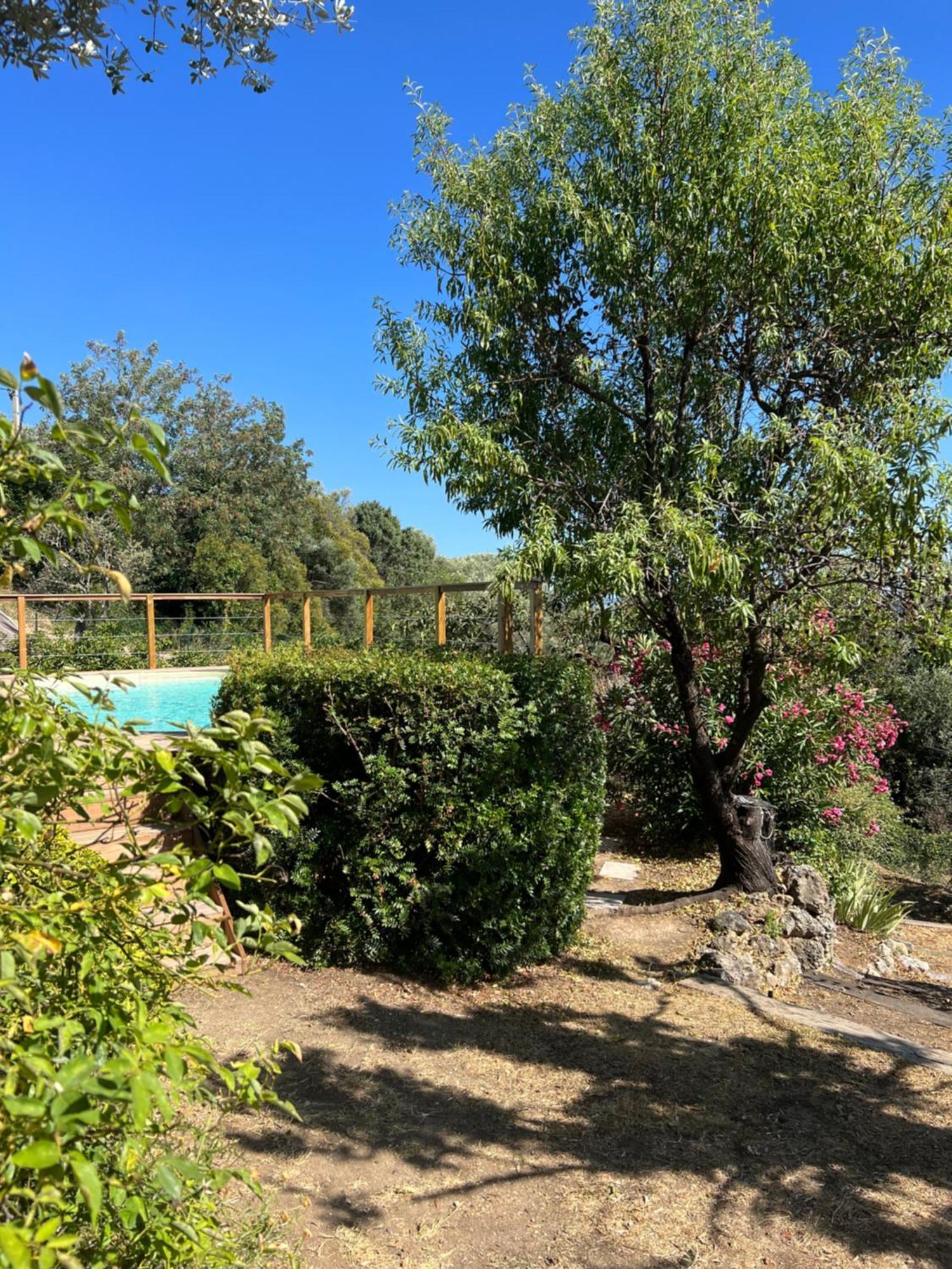 Le Nid Des Arts Bed & Breakfast Tourrettes Exterior photo